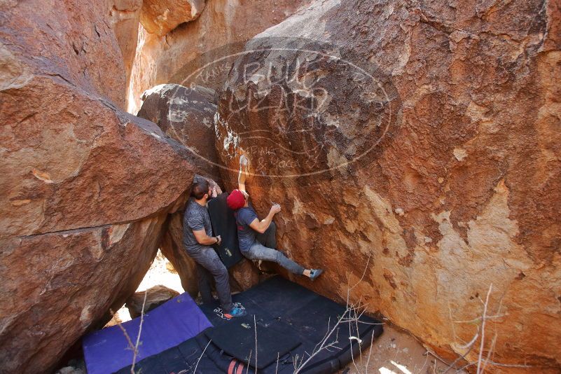 Bouldering in Hueco Tanks on 12/06/2019 with Blue Lizard Climbing and Yoga

Filename: SRM_20191206_1358050.jpg
Aperture: f/4.0
Shutter Speed: 1/250
Body: Canon EOS-1D Mark II
Lens: Canon EF 16-35mm f/2.8 L