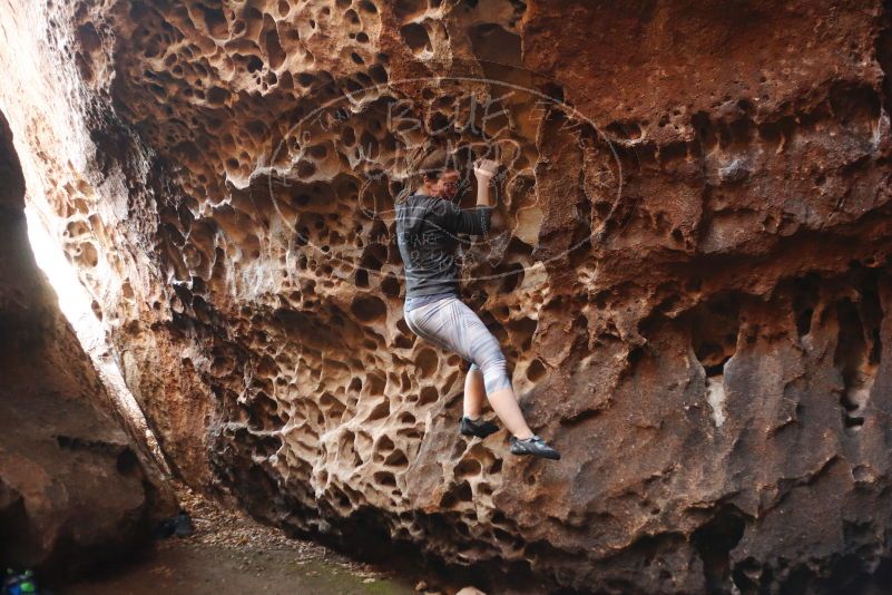 Bouldering in Hueco Tanks on 12/06/2019 with Blue Lizard Climbing and Yoga

Filename: SRM_20191206_1523220.jpg
Aperture: f/2.5
Shutter Speed: 1/250
Body: Canon EOS-1D Mark II
Lens: Canon EF 50mm f/1.8 II