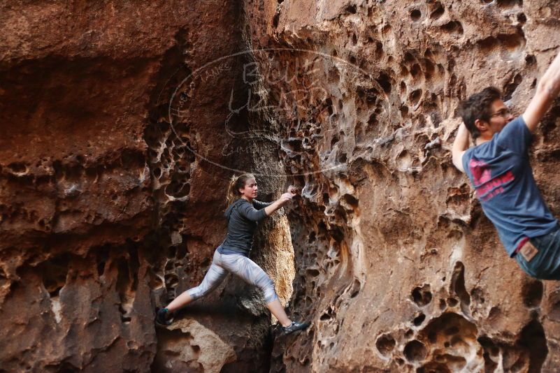 Bouldering in Hueco Tanks on 12/06/2019 with Blue Lizard Climbing and Yoga

Filename: SRM_20191206_1523580.jpg
Aperture: f/2.8
Shutter Speed: 1/250
Body: Canon EOS-1D Mark II
Lens: Canon EF 50mm f/1.8 II