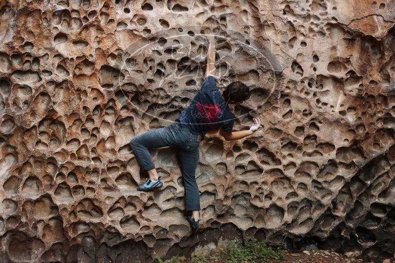 Bouldering in Hueco Tanks on 12/06/2019 with Blue Lizard Climbing and Yoga

Filename: SRM_20191206_1524440.jpg
Aperture: f/3.5
Shutter Speed: 1/250
Body: Canon EOS-1D Mark II
Lens: Canon EF 50mm f/1.8 II