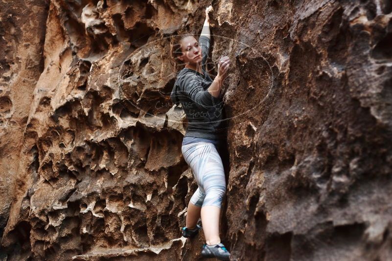 Bouldering in Hueco Tanks on 12/06/2019 with Blue Lizard Climbing and Yoga

Filename: SRM_20191206_1527480.jpg
Aperture: f/2.8
Shutter Speed: 1/200
Body: Canon EOS-1D Mark II
Lens: Canon EF 50mm f/1.8 II