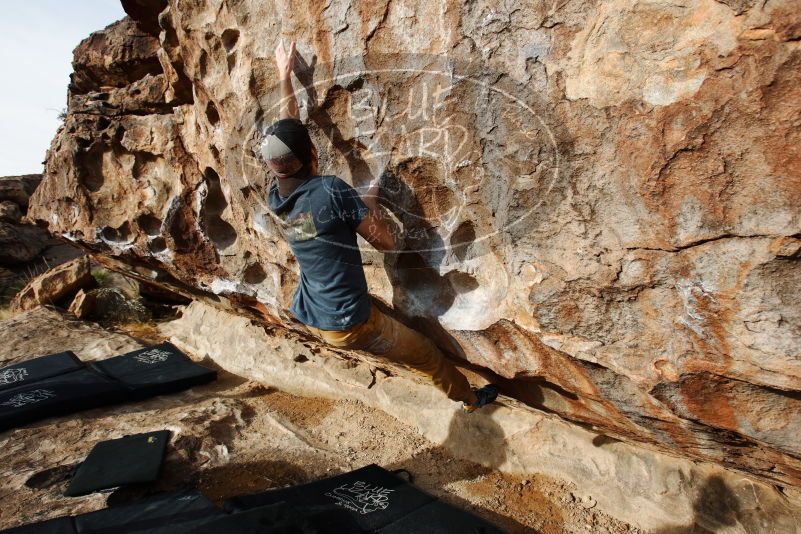 Bouldering in Hueco Tanks on 12/11/2019 with Blue Lizard Climbing and Yoga

Filename: SRM_20191211_1025420.jpg
Aperture: f/5.6
Shutter Speed: 1/400
Body: Canon EOS-1D Mark II
Lens: Canon EF 16-35mm f/2.8 L