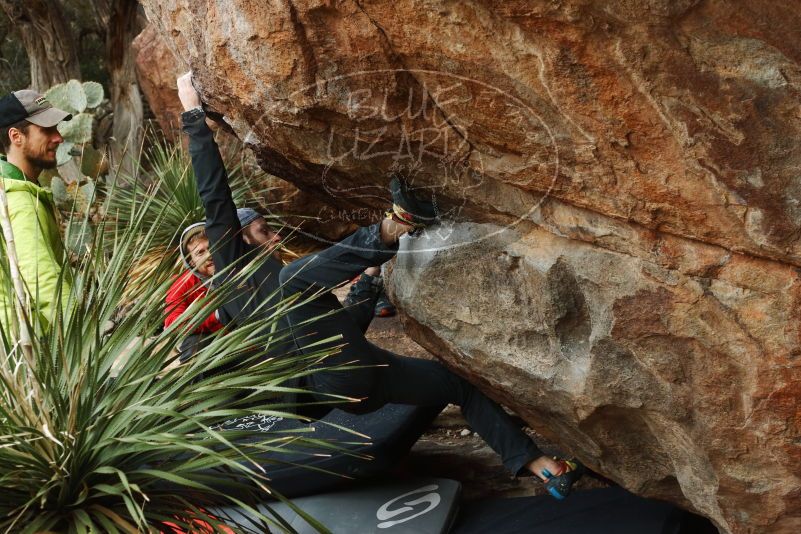 Bouldering in Hueco Tanks on 12/11/2019 with Blue Lizard Climbing and Yoga

Filename: SRM_20191211_1606190.jpg
Aperture: f/4.5
Shutter Speed: 1/320
Body: Canon EOS-1D Mark II
Lens: Canon EF 50mm f/1.8 II