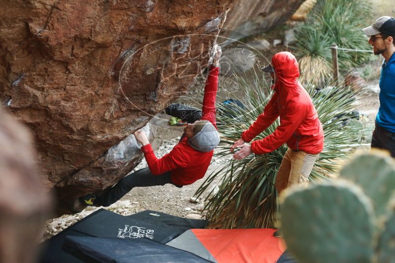 Bouldering in Hueco Tanks on 12/11/2019 with Blue Lizard Climbing and Yoga

Filename: SRM_20191211_1701321.jpg
Aperture: f/2.8
Shutter Speed: 1/400
Body: Canon EOS-1D Mark II
Lens: Canon EF 50mm f/1.8 II