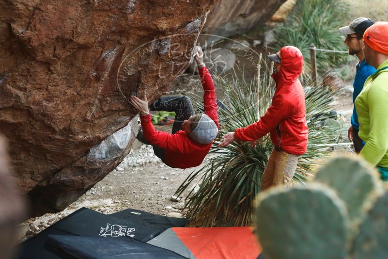 Bouldering in Hueco Tanks on 12/11/2019 with Blue Lizard Climbing and Yoga

Filename: SRM_20191211_1701350.jpg
Aperture: f/2.8
Shutter Speed: 1/500
Body: Canon EOS-1D Mark II
Lens: Canon EF 50mm f/1.8 II