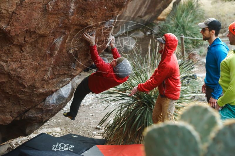 Bouldering in Hueco Tanks on 12/11/2019 with Blue Lizard Climbing and Yoga

Filename: SRM_20191211_1701390.jpg
Aperture: f/2.8
Shutter Speed: 1/400
Body: Canon EOS-1D Mark II
Lens: Canon EF 50mm f/1.8 II