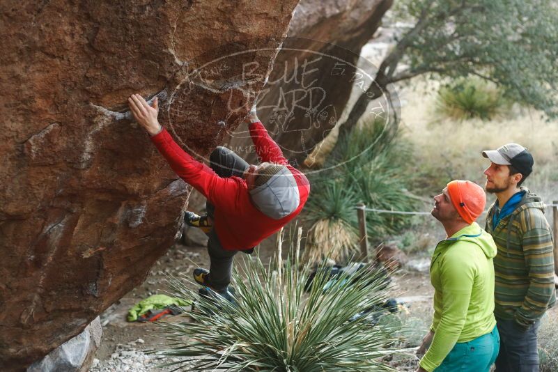 Bouldering in Hueco Tanks on 12/11/2019 with Blue Lizard Climbing and Yoga

Filename: SRM_20191211_1709220.jpg
Aperture: f/2.8
Shutter Speed: 1/500
Body: Canon EOS-1D Mark II
Lens: Canon EF 50mm f/1.8 II