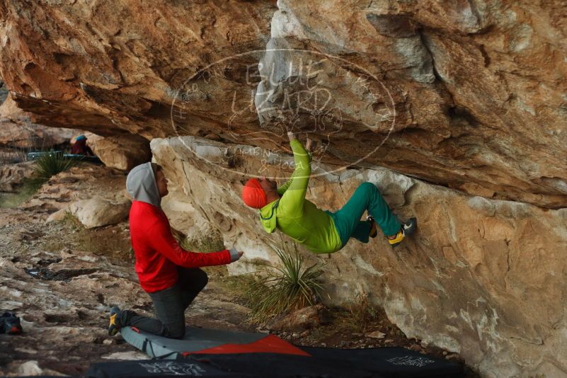 Bouldering in Hueco Tanks on 12/11/2019 with Blue Lizard Climbing and Yoga

Filename: SRM_20191211_1805470.jpg
Aperture: f/3.2
Shutter Speed: 1/250
Body: Canon EOS-1D Mark II
Lens: Canon EF 50mm f/1.8 II