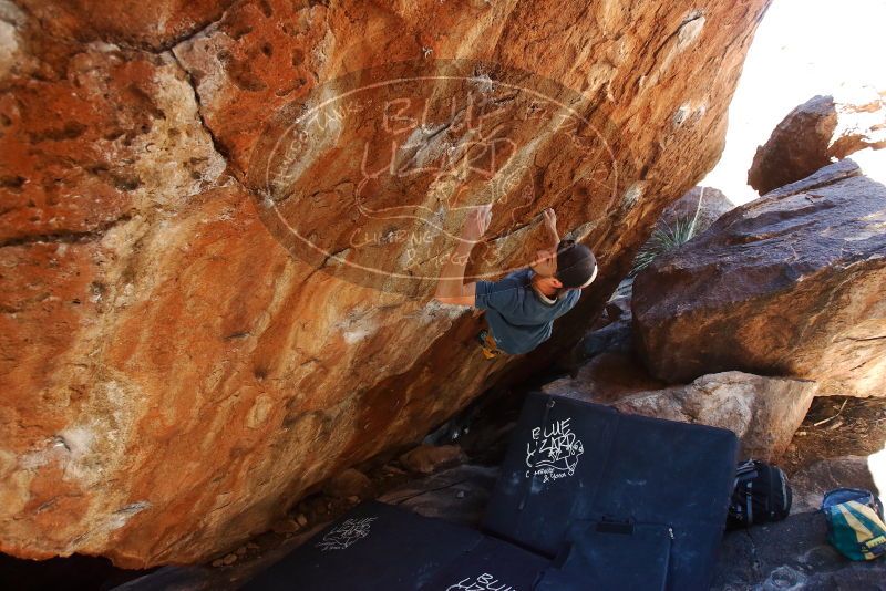 Bouldering in Hueco Tanks on 12/13/2019 with Blue Lizard Climbing and Yoga

Filename: SRM_20191213_1314190.jpg
Aperture: f/4.0
Shutter Speed: 1/250
Body: Canon EOS-1D Mark II
Lens: Canon EF 16-35mm f/2.8 L