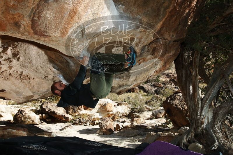 Bouldering in Hueco Tanks on 12/13/2019 with Blue Lizard Climbing and Yoga

Filename: SRM_20191213_1546270.jpg
Aperture: f/6.3
Shutter Speed: 1/250
Body: Canon EOS-1D Mark II
Lens: Canon EF 16-35mm f/2.8 L