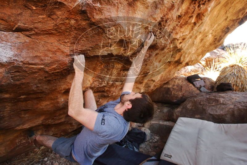 Bouldering in Hueco Tanks on 12/14/2019 with Blue Lizard Climbing and Yoga

Filename: SRM_20191214_1206500.jpg
Aperture: f/4.5
Shutter Speed: 1/250
Body: Canon EOS-1D Mark II
Lens: Canon EF 16-35mm f/2.8 L