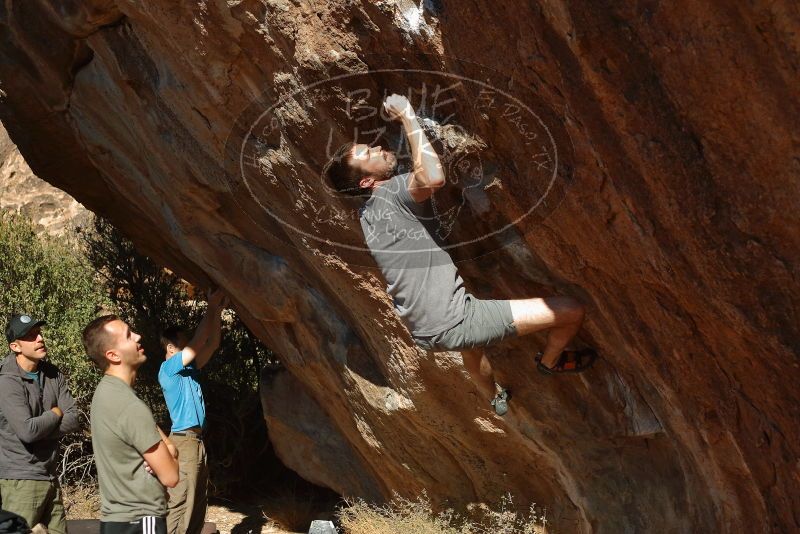 Bouldering in Hueco Tanks on 12/14/2019 with Blue Lizard Climbing and Yoga

Filename: SRM_20191214_1336100.jpg
Aperture: f/3.5
Shutter Speed: 1/500
Body: Canon EOS-1D Mark II
Lens: Canon EF 50mm f/1.8 II