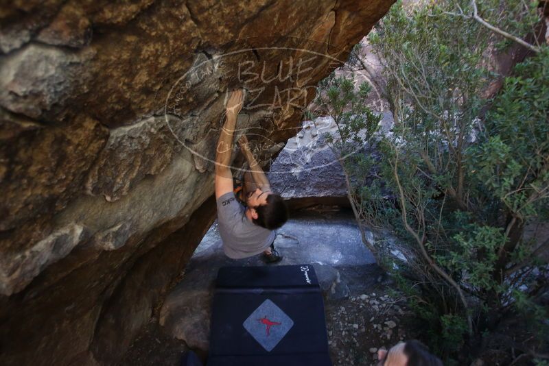 Bouldering in Hueco Tanks on 12/14/2019 with Blue Lizard Climbing and Yoga
Filename: SRM_20191214_1532030.jpg
Aperture: f/3.2
Shutter Speed: 1/250
Body: Canon EOS-1D Mark II
Lens: Canon EF 16-35mm f/2.8 L
