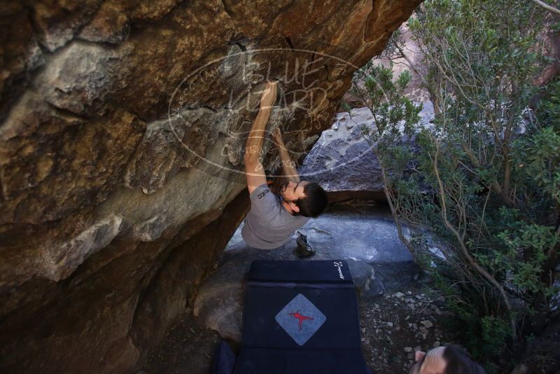 Bouldering in Hueco Tanks on 12/14/2019 with Blue Lizard Climbing and Yoga

Filename: SRM_20191214_1532031.jpg
Aperture: f/3.2
Shutter Speed: 1/250
Body: Canon EOS-1D Mark II
Lens: Canon EF 16-35mm f/2.8 L