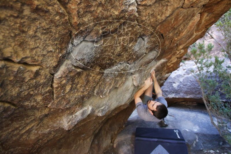 Bouldering in Hueco Tanks on 12/14/2019 with Blue Lizard Climbing and Yoga

Filename: SRM_20191214_1534220.jpg
Aperture: f/2.8
Shutter Speed: 1/250
Body: Canon EOS-1D Mark II
Lens: Canon EF 16-35mm f/2.8 L