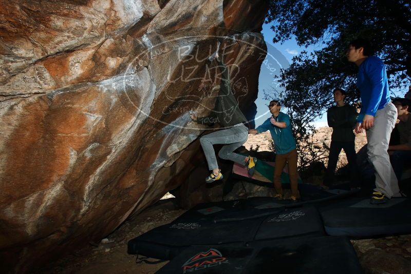 Bouldering in Hueco Tanks on 12/15/2019 with Blue Lizard Climbing and Yoga

Filename: SRM_20191215_1054500.jpg
Aperture: f/8.0
Shutter Speed: 1/250
Body: Canon EOS-1D Mark II
Lens: Canon EF 16-35mm f/2.8 L