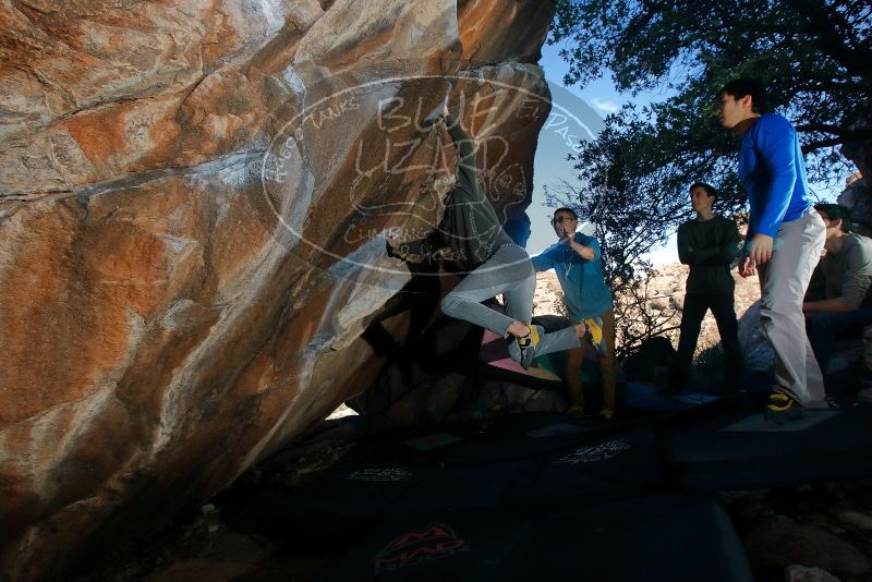 Bouldering in Hueco Tanks on 12/15/2019 with Blue Lizard Climbing and Yoga

Filename: SRM_20191215_1054501.jpg
Aperture: f/8.0
Shutter Speed: 1/250
Body: Canon EOS-1D Mark II
Lens: Canon EF 16-35mm f/2.8 L