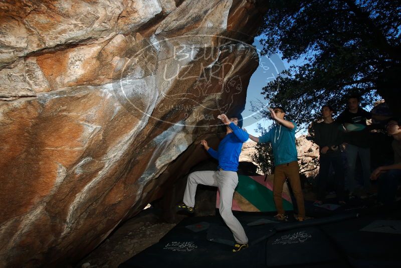 Bouldering in Hueco Tanks on 12/15/2019 with Blue Lizard Climbing and Yoga

Filename: SRM_20191215_1056280.jpg
Aperture: f/8.0
Shutter Speed: 1/250
Body: Canon EOS-1D Mark II
Lens: Canon EF 16-35mm f/2.8 L