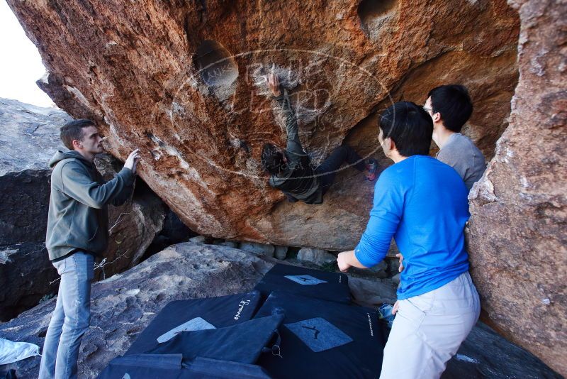 Bouldering in Hueco Tanks on 12/15/2019 with Blue Lizard Climbing and Yoga

Filename: SRM_20191215_1128170.jpg
Aperture: f/5.6
Shutter Speed: 1/250
Body: Canon EOS-1D Mark II
Lens: Canon EF 16-35mm f/2.8 L