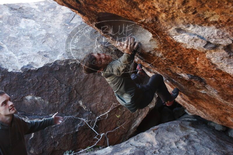 Bouldering in Hueco Tanks on 12/15/2019 with Blue Lizard Climbing and Yoga

Filename: SRM_20191215_1200321.jpg
Aperture: f/4.5
Shutter Speed: 1/250
Body: Canon EOS-1D Mark II
Lens: Canon EF 16-35mm f/2.8 L