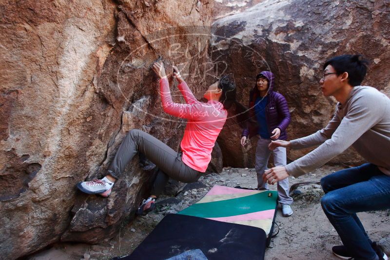 Bouldering in Hueco Tanks on 12/15/2019 with Blue Lizard Climbing and Yoga

Filename: SRM_20191215_1222120.jpg
Aperture: f/4.5
Shutter Speed: 1/200
Body: Canon EOS-1D Mark II
Lens: Canon EF 16-35mm f/2.8 L