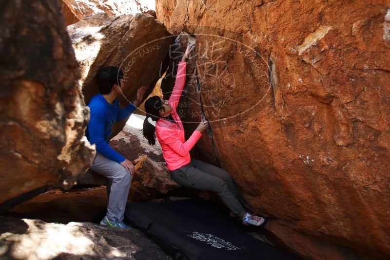 Bouldering in Hueco Tanks on 12/15/2019 with Blue Lizard Climbing and Yoga

Filename: SRM_20191215_1450390.jpg
Aperture: f/2.8
Shutter Speed: 1/250
Body: Canon EOS-1D Mark II
Lens: Canon EF 16-35mm f/2.8 L