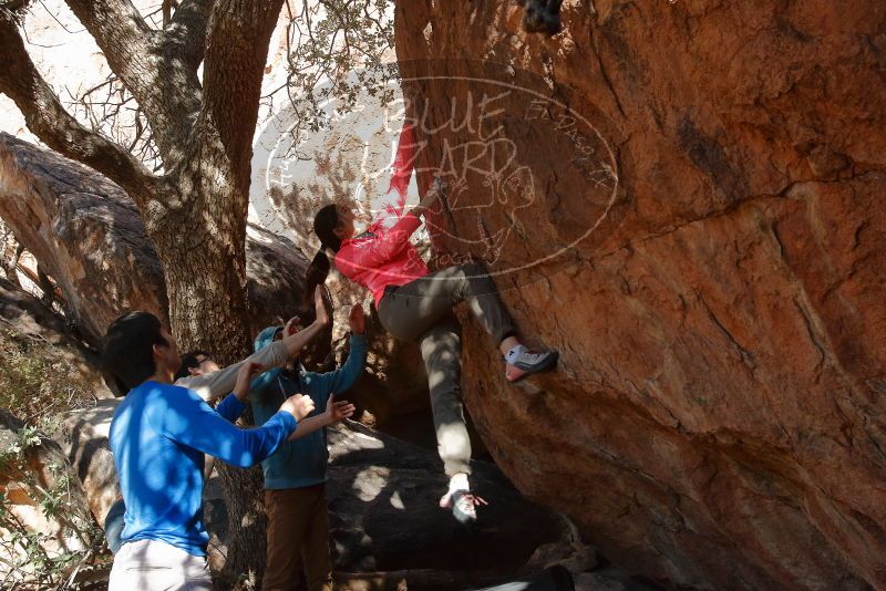 Bouldering in Hueco Tanks on 12/15/2019 with Blue Lizard Climbing and Yoga

Filename: SRM_20191215_1504240.jpg
Aperture: f/7.1
Shutter Speed: 1/200
Body: Canon EOS-1D Mark II
Lens: Canon EF 16-35mm f/2.8 L