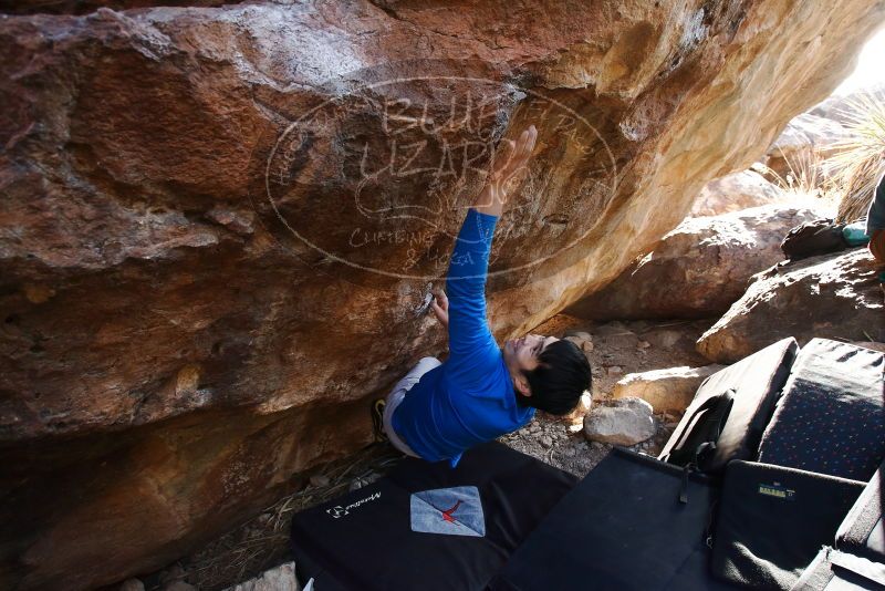 Bouldering in Hueco Tanks on 12/15/2019 with Blue Lizard Climbing and Yoga

Filename: SRM_20191215_1615170.jpg
Aperture: f/5.0
Shutter Speed: 1/250
Body: Canon EOS-1D Mark II
Lens: Canon EF 16-35mm f/2.8 L