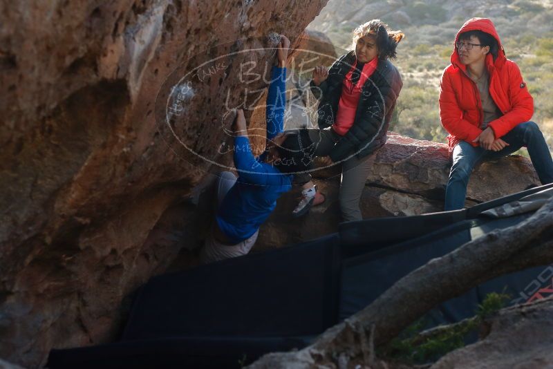 Bouldering in Hueco Tanks on 12/15/2019 with Blue Lizard Climbing and Yoga

Filename: SRM_20191215_1638430.jpg
Aperture: f/4.0
Shutter Speed: 1/250
Body: Canon EOS-1D Mark II
Lens: Canon EF 50mm f/1.8 II