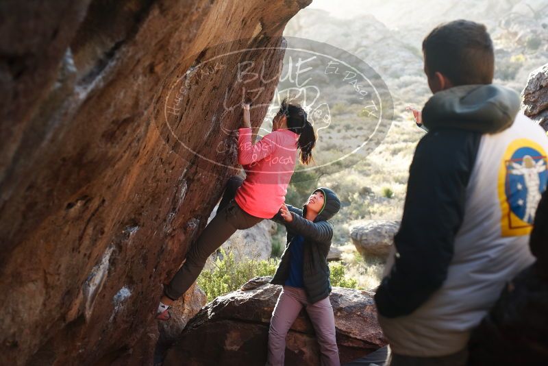 Bouldering in Hueco Tanks on 12/15/2019 with Blue Lizard Climbing and Yoga

Filename: SRM_20191215_1700090.jpg
Aperture: f/4.0
Shutter Speed: 1/250
Body: Canon EOS-1D Mark II
Lens: Canon EF 50mm f/1.8 II