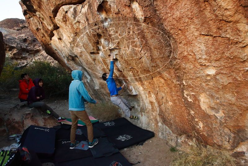 Bouldering in Hueco Tanks on 12/15/2019 with Blue Lizard Climbing and Yoga

Filename: SRM_20191215_1755160.jpg
Aperture: f/4.5
Shutter Speed: 1/250
Body: Canon EOS-1D Mark II
Lens: Canon EF 16-35mm f/2.8 L