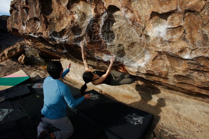 Bouldering in Hueco Tanks on 12/16/2019 with Blue Lizard Climbing and Yoga

Filename: SRM_20191216_1042120.jpg
Aperture: f/8.0
Shutter Speed: 1/250
Body: Canon EOS-1D Mark II
Lens: Canon EF 16-35mm f/2.8 L