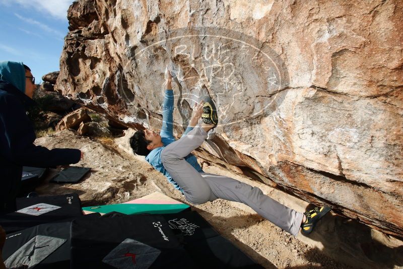 Bouldering in Hueco Tanks on 12/16/2019 with Blue Lizard Climbing and Yoga

Filename: SRM_20191216_1051280.jpg
Aperture: f/8.0
Shutter Speed: 1/250
Body: Canon EOS-1D Mark II
Lens: Canon EF 16-35mm f/2.8 L