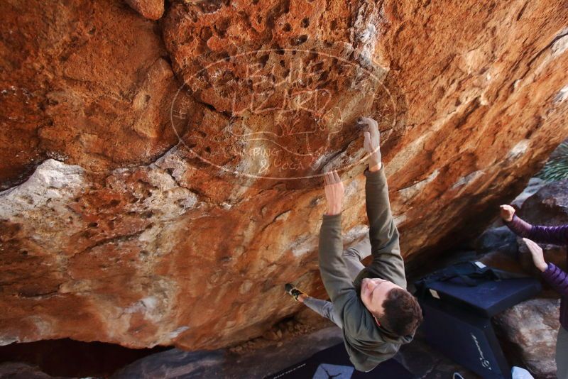 Bouldering in Hueco Tanks on 12/16/2019 with Blue Lizard Climbing and Yoga

Filename: SRM_20191216_1249231.jpg
Aperture: f/4.0
Shutter Speed: 1/250
Body: Canon EOS-1D Mark II
Lens: Canon EF 16-35mm f/2.8 L