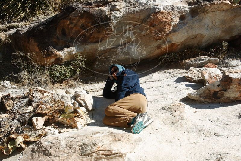 Bouldering in Hueco Tanks on 12/16/2019 with Blue Lizard Climbing and Yoga

Filename: SRM_20191216_1320170.jpg
Aperture: f/8.0
Shutter Speed: 1/250
Body: Canon EOS-1D Mark II
Lens: Canon EF 16-35mm f/2.8 L