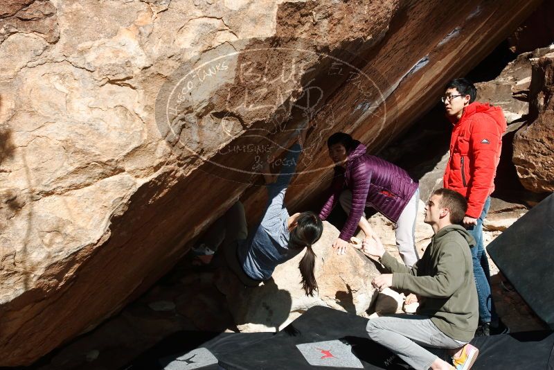 Bouldering in Hueco Tanks on 12/16/2019 with Blue Lizard Climbing and Yoga

Filename: SRM_20191216_1320430.jpg
Aperture: f/8.0
Shutter Speed: 1/250
Body: Canon EOS-1D Mark II
Lens: Canon EF 16-35mm f/2.8 L