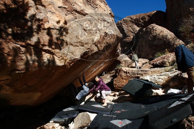 Bouldering in Hueco Tanks on 12/16/2019 with Blue Lizard Climbing and Yoga

Filename: SRM_20191216_1321320.jpg
Aperture: f/8.0
Shutter Speed: 1/250
Body: Canon EOS-1D Mark II
Lens: Canon EF 16-35mm f/2.8 L