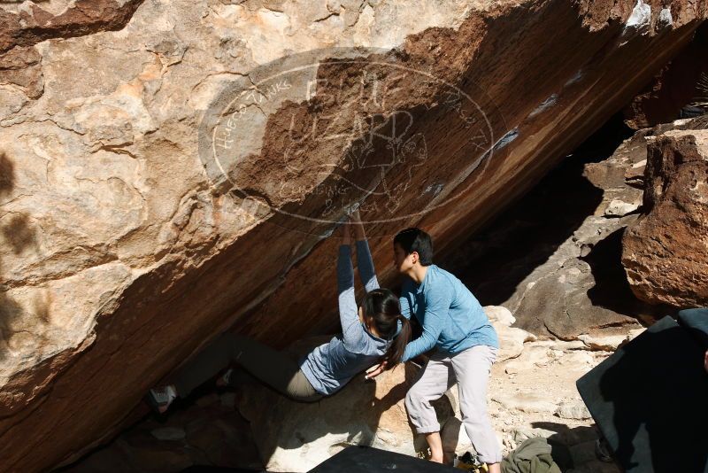 Bouldering in Hueco Tanks on 12/16/2019 with Blue Lizard Climbing and Yoga

Filename: SRM_20191216_1336570.jpg
Aperture: f/9.0
Shutter Speed: 1/250
Body: Canon EOS-1D Mark II
Lens: Canon EF 16-35mm f/2.8 L