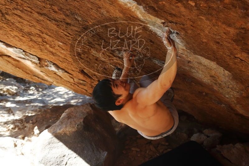 Bouldering in Hueco Tanks on 12/16/2019 with Blue Lizard Climbing and Yoga

Filename: SRM_20191216_1412230.jpg
Aperture: f/5.0
Shutter Speed: 1/250
Body: Canon EOS-1D Mark II
Lens: Canon EF 50mm f/1.8 II