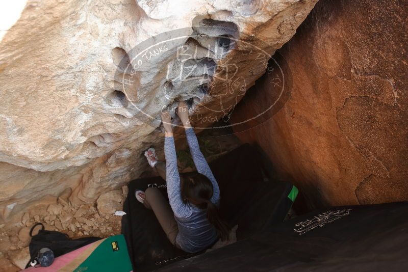 Bouldering in Hueco Tanks on 12/16/2019 with Blue Lizard Climbing and Yoga

Filename: SRM_20191216_1524280.jpg
Aperture: f/3.2
Shutter Speed: 1/250
Body: Canon EOS-1D Mark II
Lens: Canon EF 16-35mm f/2.8 L