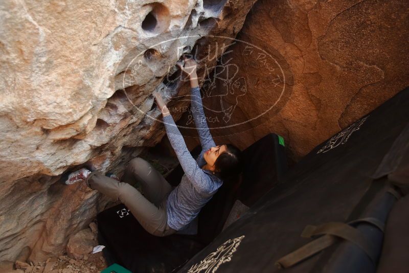 Bouldering in Hueco Tanks on 12/16/2019 with Blue Lizard Climbing and Yoga

Filename: SRM_20191216_1524510.jpg
Aperture: f/3.2
Shutter Speed: 1/250
Body: Canon EOS-1D Mark II
Lens: Canon EF 16-35mm f/2.8 L