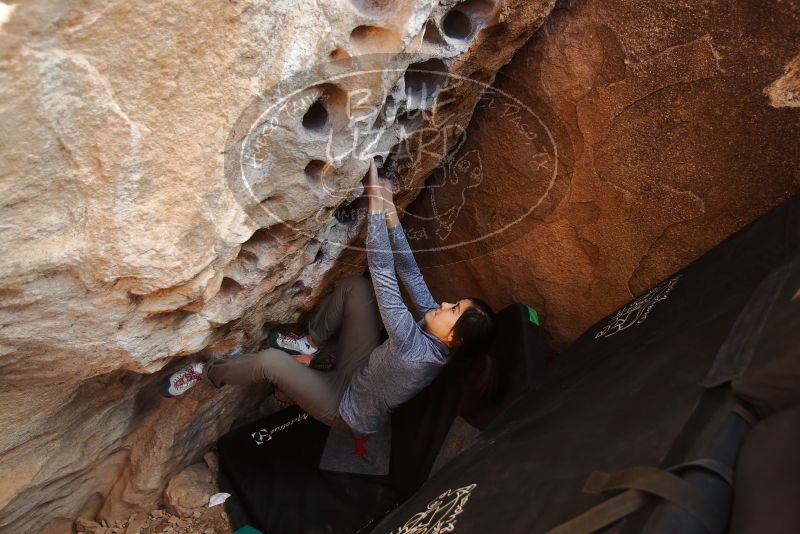 Bouldering in Hueco Tanks on 12/16/2019 with Blue Lizard Climbing and Yoga

Filename: SRM_20191216_1524550.jpg
Aperture: f/3.5
Shutter Speed: 1/250
Body: Canon EOS-1D Mark II
Lens: Canon EF 16-35mm f/2.8 L