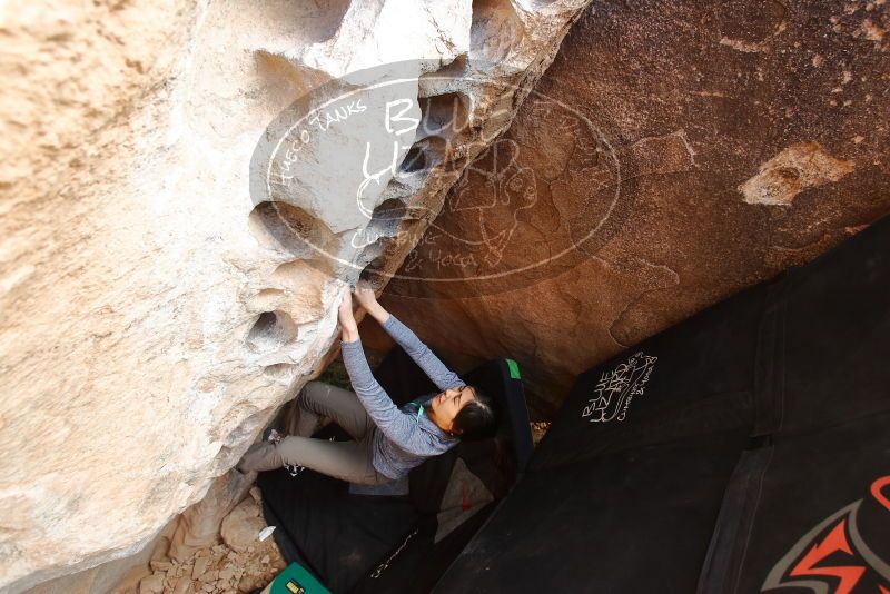 Bouldering in Hueco Tanks on 12/16/2019 with Blue Lizard Climbing and Yoga

Filename: SRM_20191216_1526020.jpg
Aperture: f/4.5
Shutter Speed: 1/250
Body: Canon EOS-1D Mark II
Lens: Canon EF 16-35mm f/2.8 L