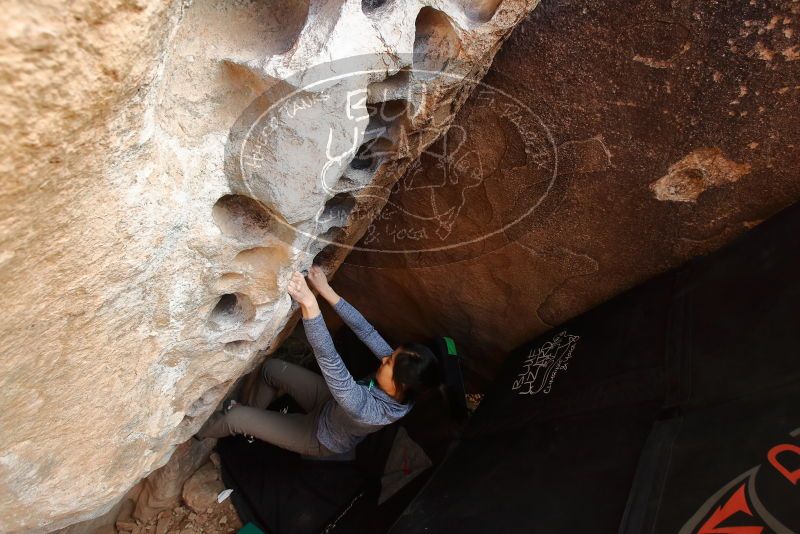 Bouldering in Hueco Tanks on 12/16/2019 with Blue Lizard Climbing and Yoga

Filename: SRM_20191216_1526040.jpg
Aperture: f/5.6
Shutter Speed: 1/250
Body: Canon EOS-1D Mark II
Lens: Canon EF 16-35mm f/2.8 L