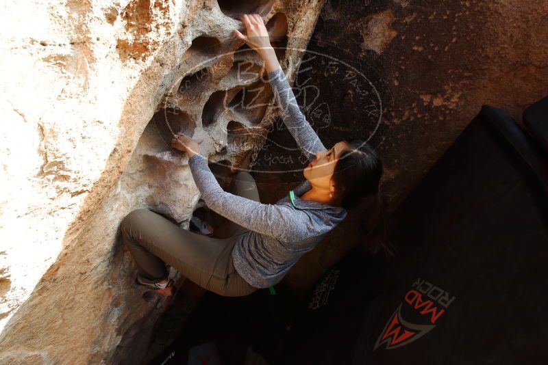 Bouldering in Hueco Tanks on 12/16/2019 with Blue Lizard Climbing and Yoga

Filename: SRM_20191216_1526220.jpg
Aperture: f/8.0
Shutter Speed: 1/250
Body: Canon EOS-1D Mark II
Lens: Canon EF 16-35mm f/2.8 L