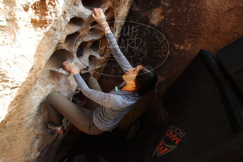 Bouldering in Hueco Tanks on 12/16/2019 with Blue Lizard Climbing and Yoga

Filename: SRM_20191216_1526221.jpg
Aperture: f/8.0
Shutter Speed: 1/250
Body: Canon EOS-1D Mark II
Lens: Canon EF 16-35mm f/2.8 L