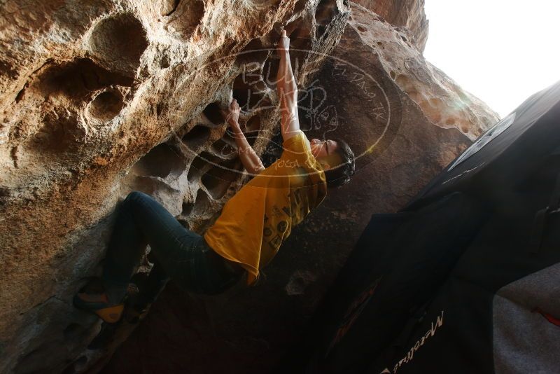 Bouldering in Hueco Tanks on 12/16/2019 with Blue Lizard Climbing and Yoga

Filename: SRM_20191216_1531090.jpg
Aperture: f/11.0
Shutter Speed: 1/250
Body: Canon EOS-1D Mark II
Lens: Canon EF 16-35mm f/2.8 L