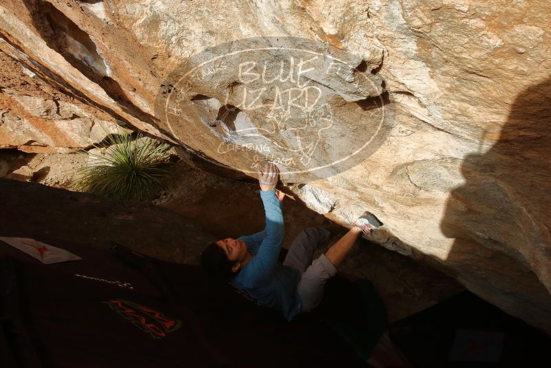 Bouldering in Hueco Tanks on 12/16/2019 with Blue Lizard Climbing and Yoga

Filename: SRM_20191216_1551010.jpg
Aperture: f/14.0
Shutter Speed: 1/250
Body: Canon EOS-1D Mark II
Lens: Canon EF 16-35mm f/2.8 L