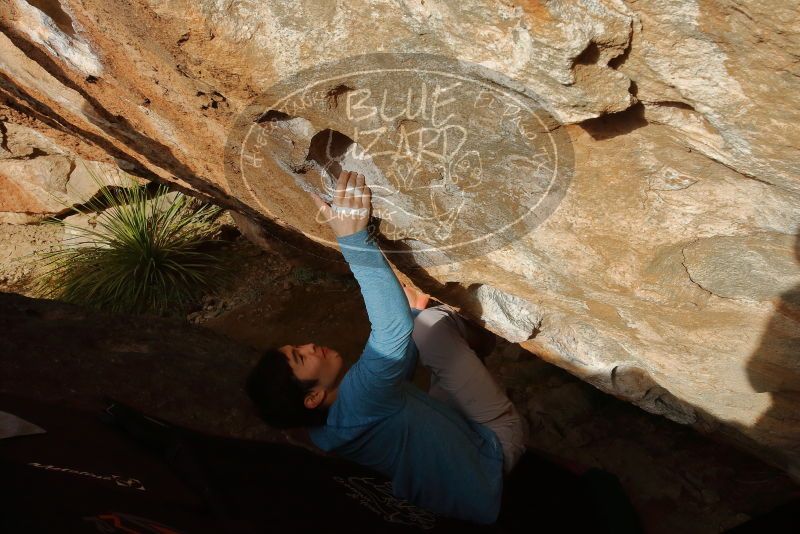 Bouldering in Hueco Tanks on 12/16/2019 with Blue Lizard Climbing and Yoga

Filename: SRM_20191216_1551060.jpg
Aperture: f/14.0
Shutter Speed: 1/250
Body: Canon EOS-1D Mark II
Lens: Canon EF 16-35mm f/2.8 L