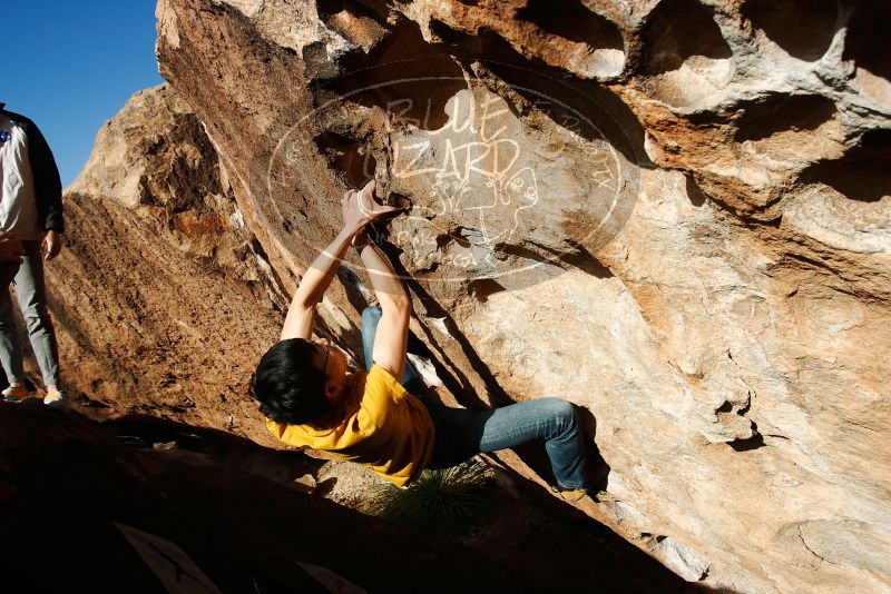 Bouldering in Hueco Tanks on 12/16/2019 with Blue Lizard Climbing and Yoga

Filename: SRM_20191216_1555280.jpg
Aperture: f/7.1
Shutter Speed: 1/500
Body: Canon EOS-1D Mark II
Lens: Canon EF 16-35mm f/2.8 L